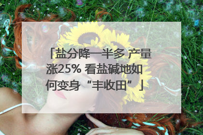 盐分降一半多 产量涨25% 看盐碱地如何变身“丰收田”