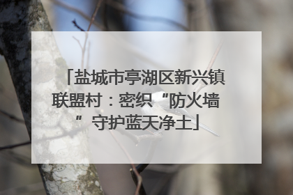 盐城市亭湖区新兴镇联盟村：密织“防火墙”守护蓝天净土