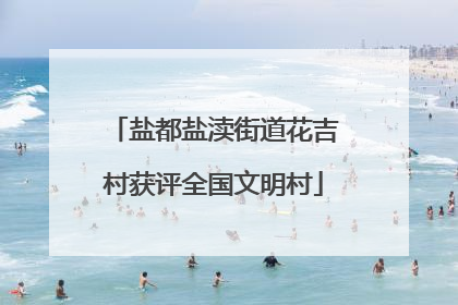 盐都盐渎街道花吉村获评全国文明村