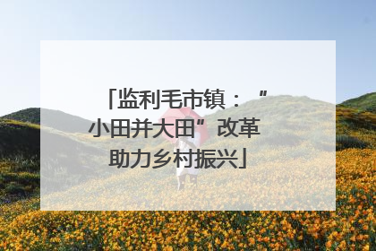 监利毛市镇：“小田并大田”改革 助力乡村振兴