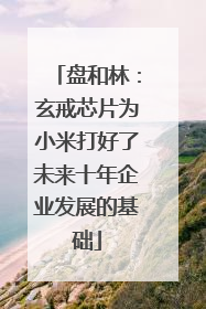 盘和林：玄戒芯片为小米打好了未来十年企业发展的基础