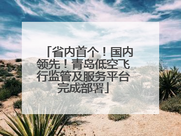 省内首个！国内领先！青岛低空飞行监管及服务平台完成部署