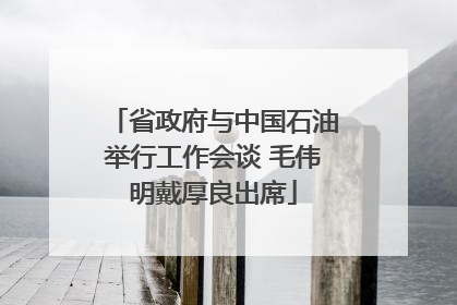 省政府与中国石油举行工作会谈 毛伟明戴厚良出席