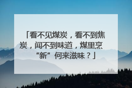 看不见煤炭，看不到焦炭，闻不到味道，煤里烹“新”何来滋味？