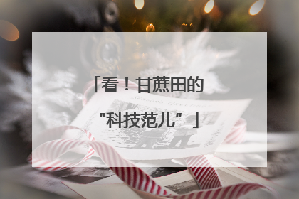 看！甘蔗田的“科技范儿”