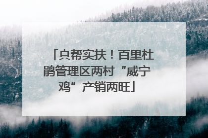真帮实扶！百里杜鹃管理区两村“威宁鸡”产销两旺