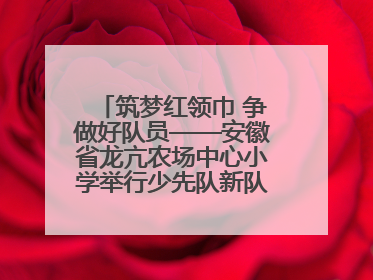 筑梦红领巾 争做好队员——安徽省龙亢农场中心小学举行少先队新队员入队仪式