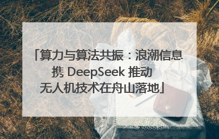 算力与算法共振：浪潮信息携 DeepSeek 推动无人机技术在舟山落地