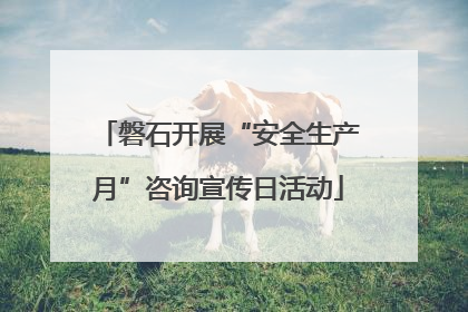 磐石开展“安全生产月”咨询宣传日活动