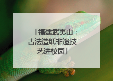 福建武夷山：古法造纸非遗技艺进校园