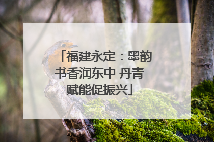 福建永定：墨韵书香润东中 丹青赋能促振兴