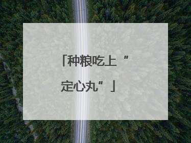 种粮吃上“定心丸”