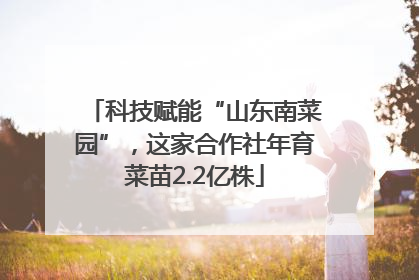 科技赋能“山东南菜园”，这家合作社年育菜苗2.2亿株
