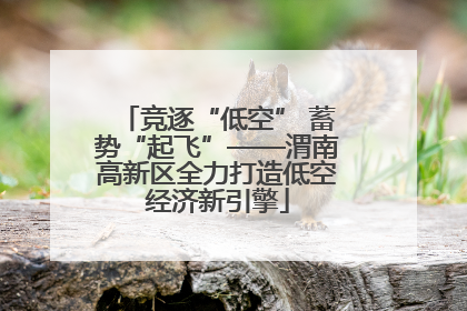 竞逐“低空” 蓄势“起飞”——渭南高新区全力打造低空经济新引擎