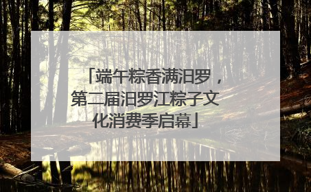 端午粽香满汨罗，第二届汨罗江粽子文化消费季启幕