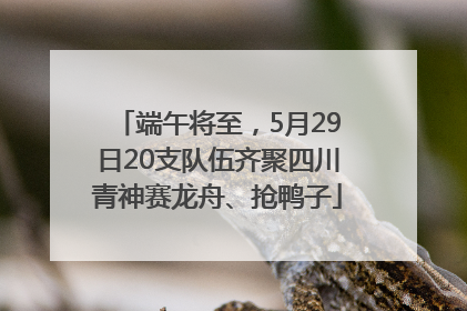 端午将至，5月29日20支队伍齐聚四川青神赛龙舟、抢鸭子