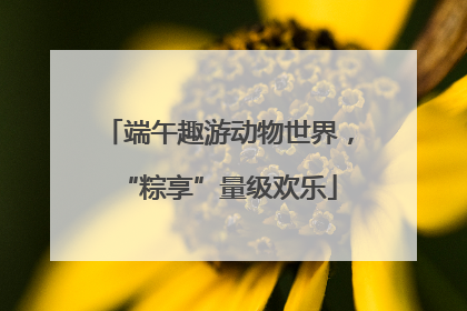 端午趣游动物世界，“粽享”量级欢乐