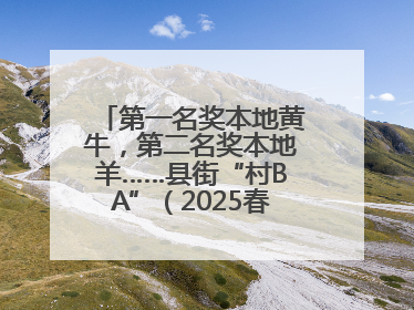 第一名奖本地黄牛，第二名奖本地羊……县街“村BA”（2025春季赛）圆满完赛