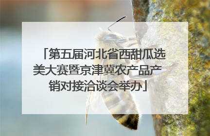 第五届河北省西甜瓜选美大赛暨京津冀农产品产销对接洽谈会举办
