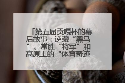 第五届贡嘎杯的幕后故事：逆袭“黑马”、常胜“将军”和高原上的“体育奇迹”丨微纪录