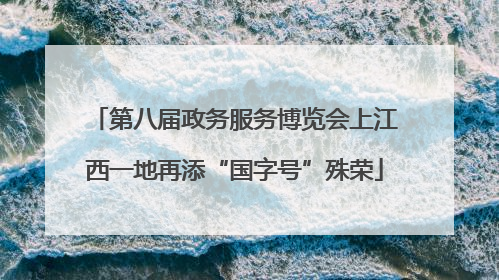 第八届政务服务博览会上江西一地再添“国字号”殊荣