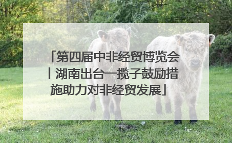 第四届中非经贸博览会丨湖南出台一揽子鼓励措施助力对非经贸发展