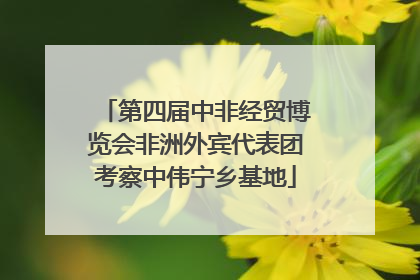 第四届中非经贸博览会非洲外宾代表团考察中伟宁乡基地