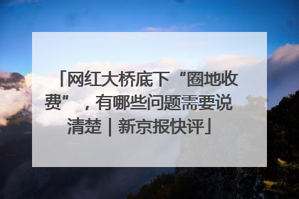 网红大桥底下“圈地收费”，有哪些问题需要说清楚｜新京报快评