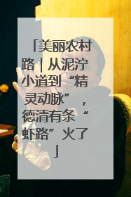 美丽农村路｜从泥泞小道到“精灵动脉”，德清有条“虾路”火了