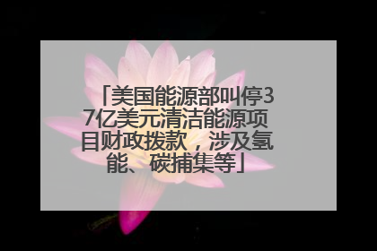 美国能源部叫停37亿美元清洁能源项目财政拨款，涉及氢能、碳捕集等