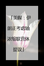 美媒：伊朗正考虑铀浓缩联营体提议