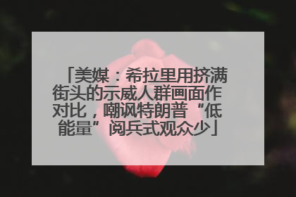 美媒：希拉里用挤满街头的示威人群画面作对比，嘲讽特朗普“低能量”阅兵式观众少