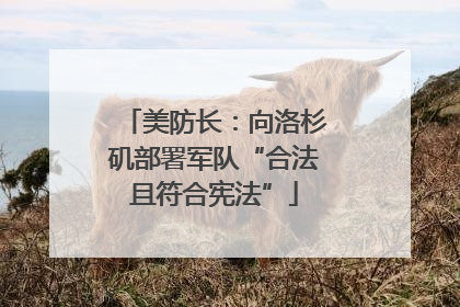 美防长：向洛杉矶部署军队“合法且符合宪法”
