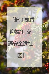 粽子飘香迎端午 交通安全进社区