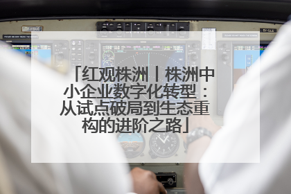 红观株洲丨株洲中小企业数字化转型：从试点破局到生态重构的进阶之路