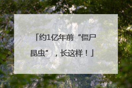 约1亿年前“僵尸昆虫”，长这样！