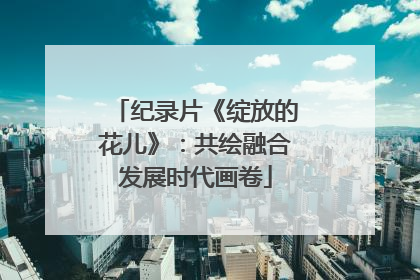 纪录片《绽放的花儿》：共绘融合发展时代画卷