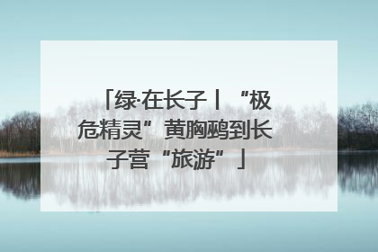 绿·在长子丨“极危精灵”黄胸鹀到长子营“旅游”