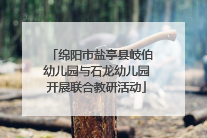 绵阳市盐亭县岐伯幼儿园与石龙幼儿园开展联合教研活动