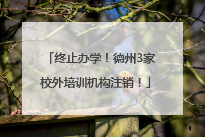 终止办学！德州3家校外培训机构注销！
