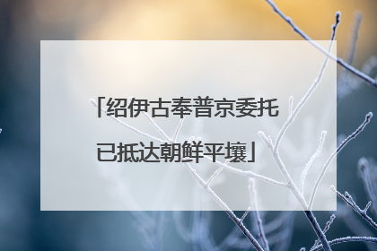 绍伊古奉普京委托已抵达朝鲜平壤