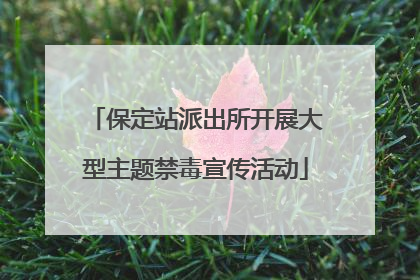 保定站派出所开展大型主题禁毒宣传活动