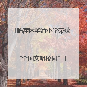 临潼区华清小学荣获“全国文明校园”
