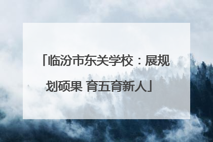 临汾市东关学校：展规划硕果 育五育新人