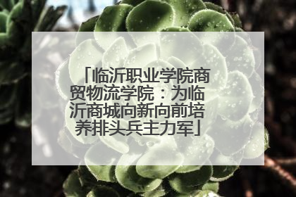 临沂职业学院商贸物流学院：为临沂商城向新向前培养排头兵主力军