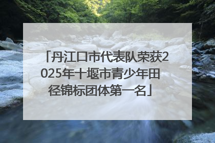 丹江口市代表队荣获2025年十堰市青少年田径锦标团体第一名