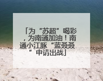 为“苏超”喝彩，为南通加油！南通小江豚“蓝叒叒”申请出战