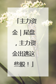 主力资金｜尾盘，主力资金出逃这些股！