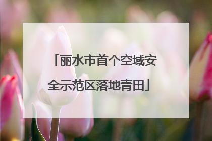 丽水市首个空域安全示范区落地青田