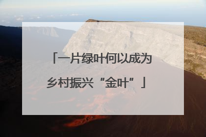 一片绿叶何以成为乡村振兴“金叶”